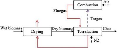 Identification of Suitable Biomass Torrefaction Operation Envelops for Auto-Thermal Operation